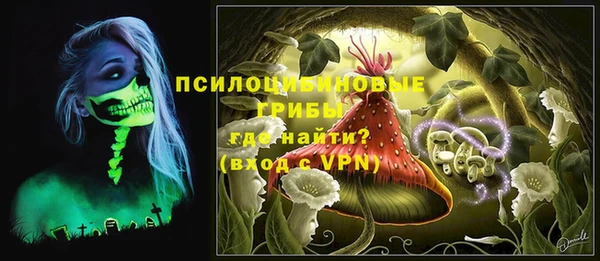 бошки Балахна